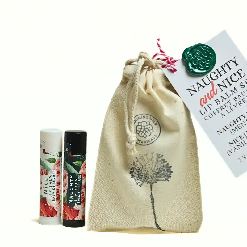 Naughty & Nice Lip Kit