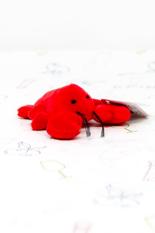 Aimant en peluche - Homard